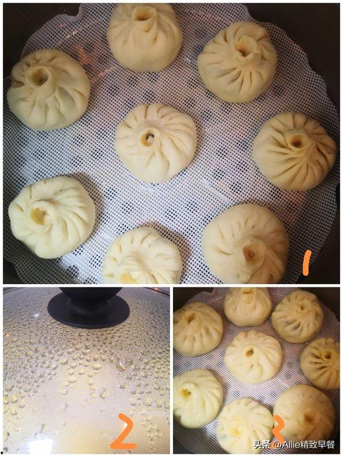 今日包子瓜价格,市场行情一览