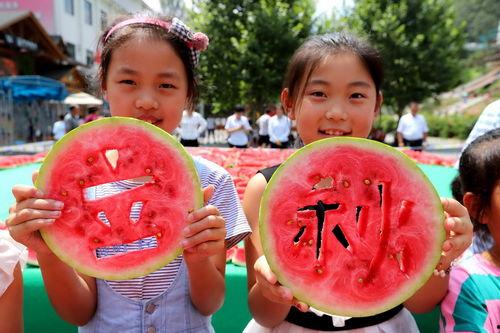 吃瓜今日大赛,全民狂欢，揭秘娱乐圈幕后风云
