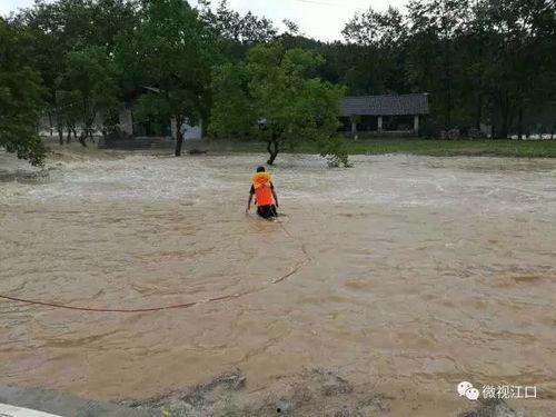 洪水视频,惊心动魄的现场纪实