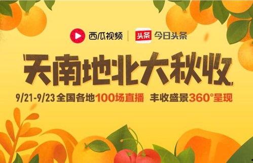 今日宜扭蛋瓜,揭秘扭蛋瓜的神奇魅力与趣味玩法