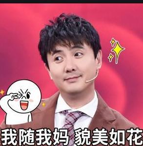 吃瓜爆料沈腾,娱乐圈幕后真相大揭秘