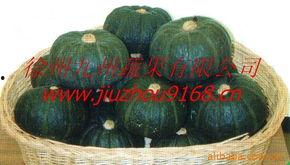 今日兰瓜价格行情,涨跌波动，市场动态一览