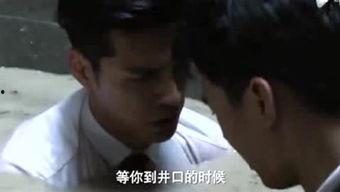 叨嘿视频,揭秘生活百态，畅享趣味时光