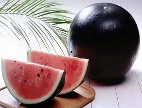 黑瓜头怎么吃最好吃视频,视频教你最佳食用方法